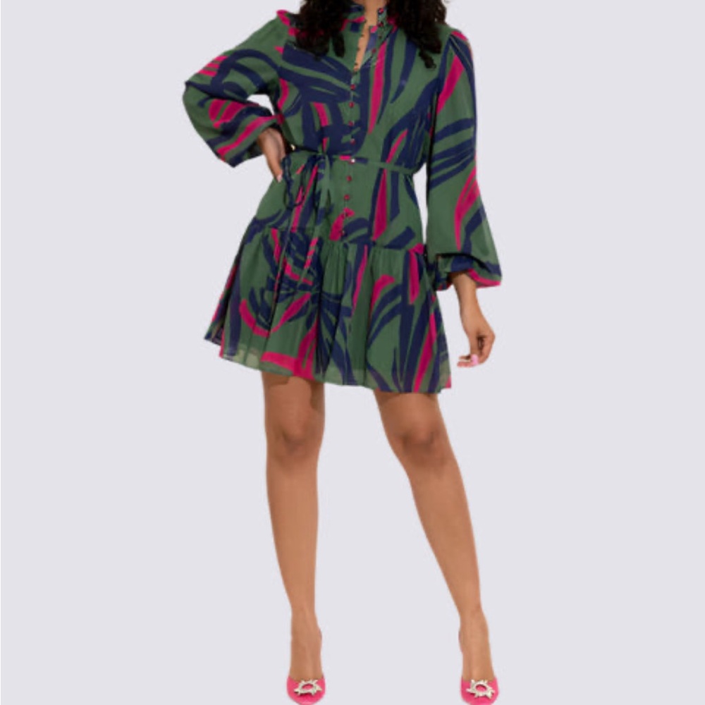 Alden Adair Adele Dress Drop Waist Balloon Sleeve Gorgeous! NEW NWT Large - Picture 2 of 12
